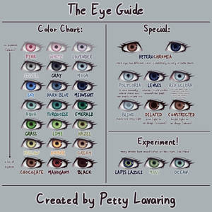 The Eye Guide