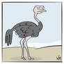 Ostrich