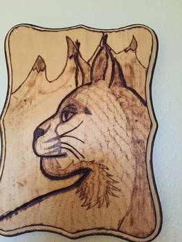 caracal wood burning