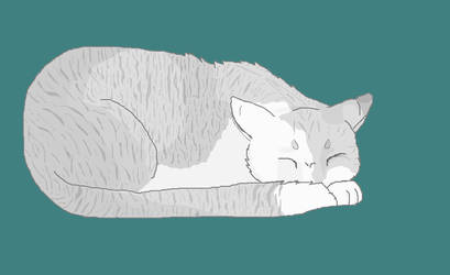 Sleepy head Ivypool