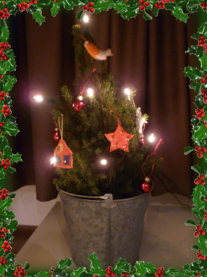 Little Tree Obsession My little tree by FlyingZoe on DeviantArt