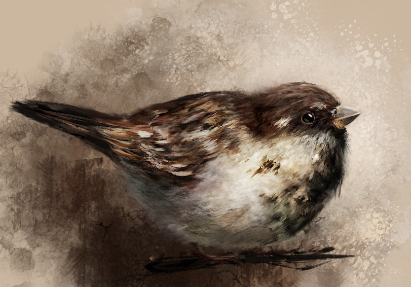 Sparrow