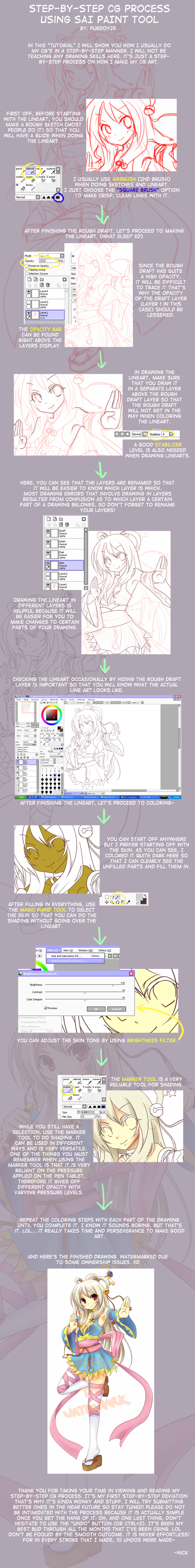 my CG process using SAI