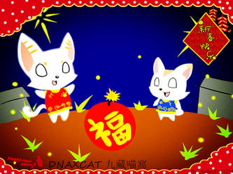 Happy Chinese New Year (Mei Du)