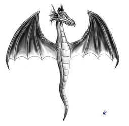 A dragon