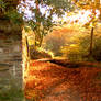 Autumn Down The Lane