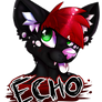 Echo Badge