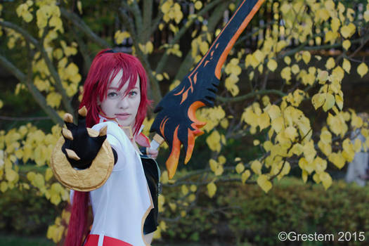 Elsword Elesis Blazing heart cosplay