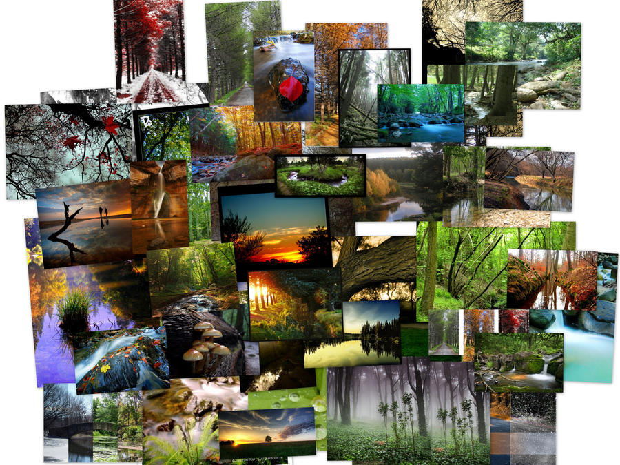 Nature Collage by nicklebackrox18 on DeviantArt