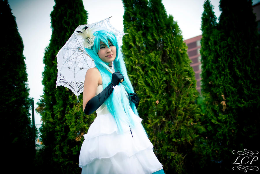 Vocaloid - Miku (Camellia) 5