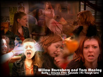 Willow and Tara Tough Love