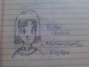 DBZ: Bulma Sketch