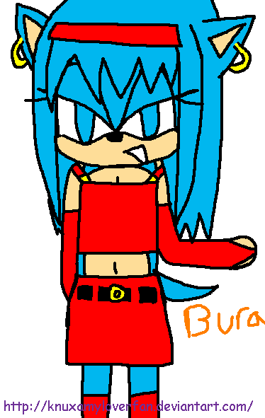 ~Bulla the Hedgehog~ -2-