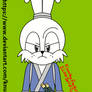 Usagi the Rabbit