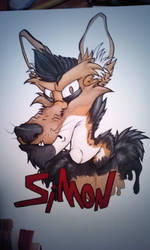 Simon Badge