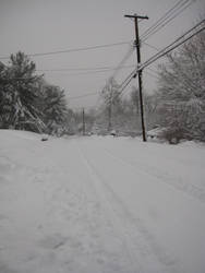 Blizzard 2010 5