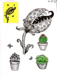 Some plants