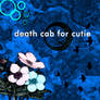 Death Cab For Cutie 3