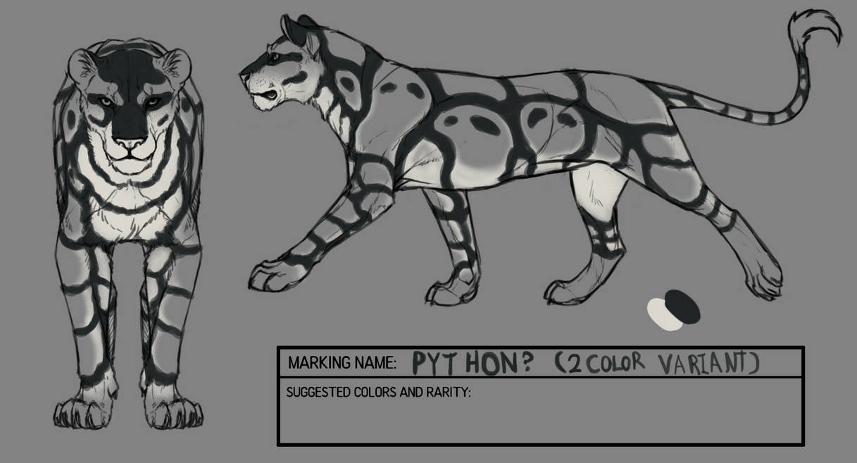 Ball Python Markings 2 by StellaDraco on DeviantArt