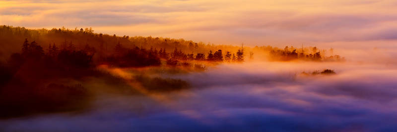 sea of fog