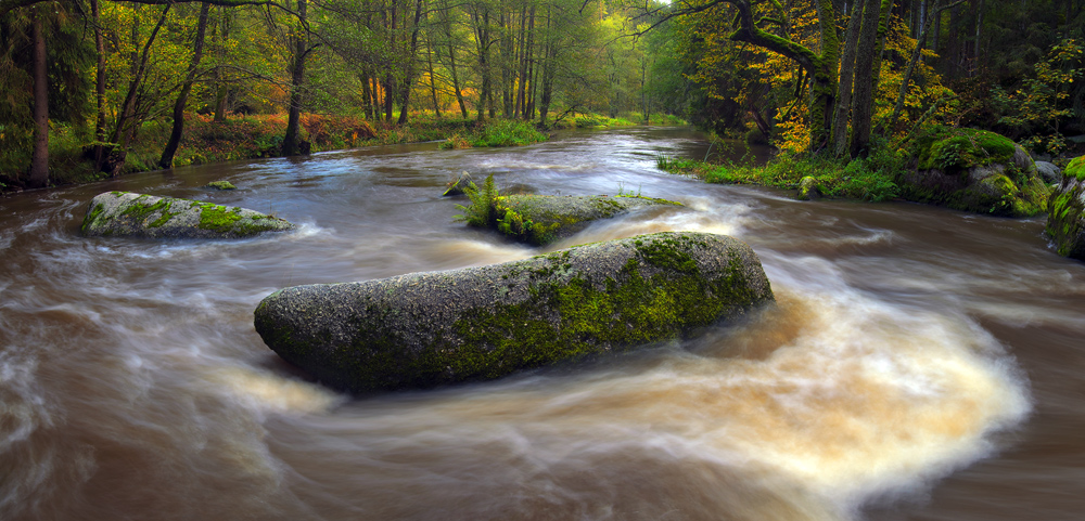 autumn creek