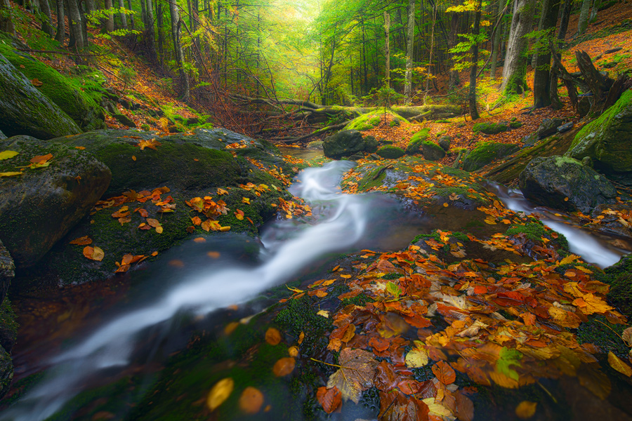 wild place by MartinAmm wild place by MartinAmm