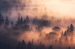 autumn fog by MartinAmm