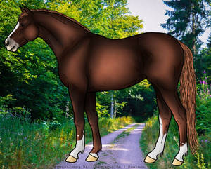 Example horse 2