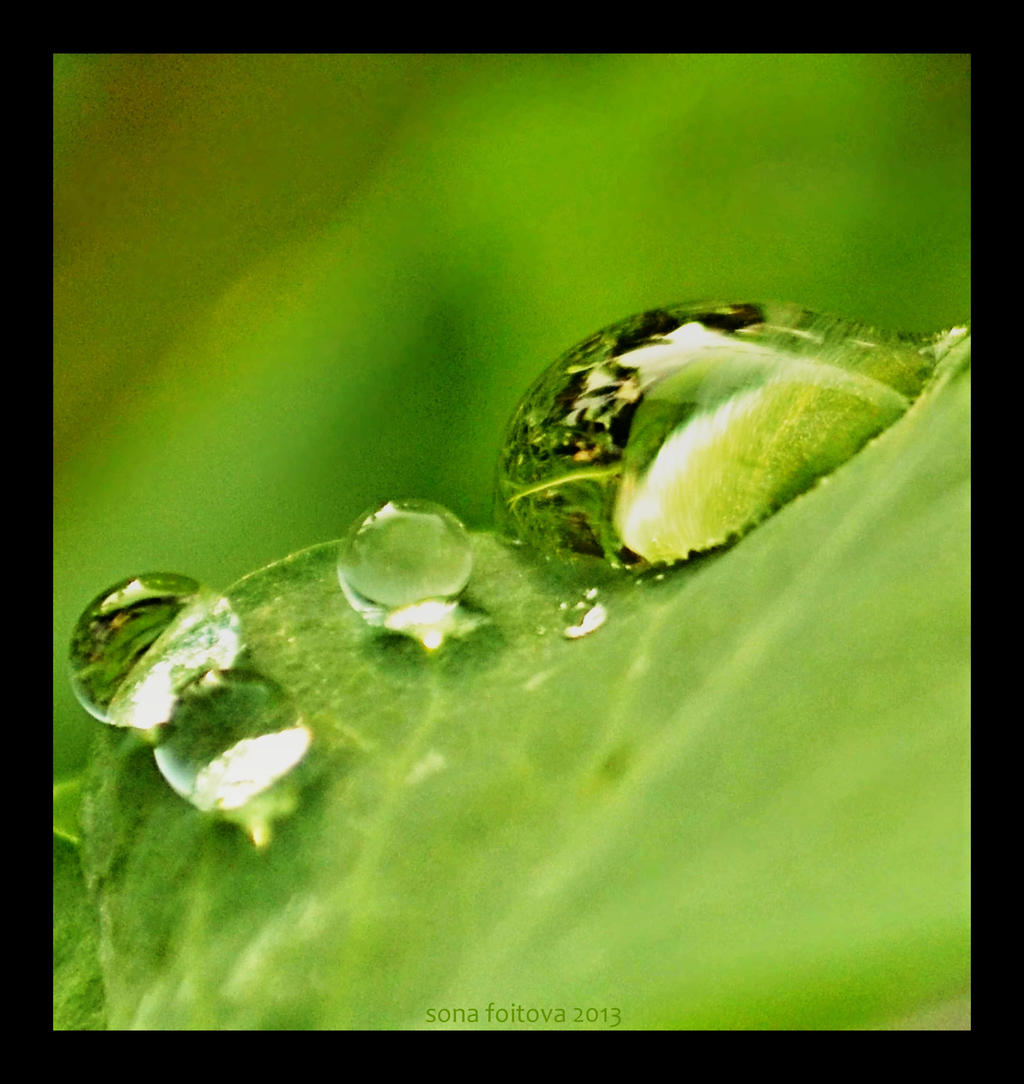 macro drops