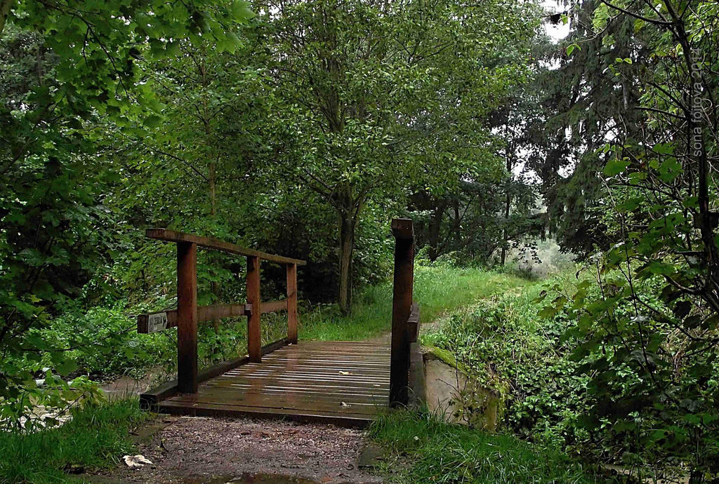 creek bridge by sonafoitova on DeviantArt