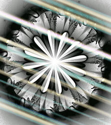 walpaper 19-apo