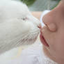 Whisker Kisses