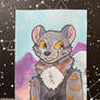 ACEO - December 2023