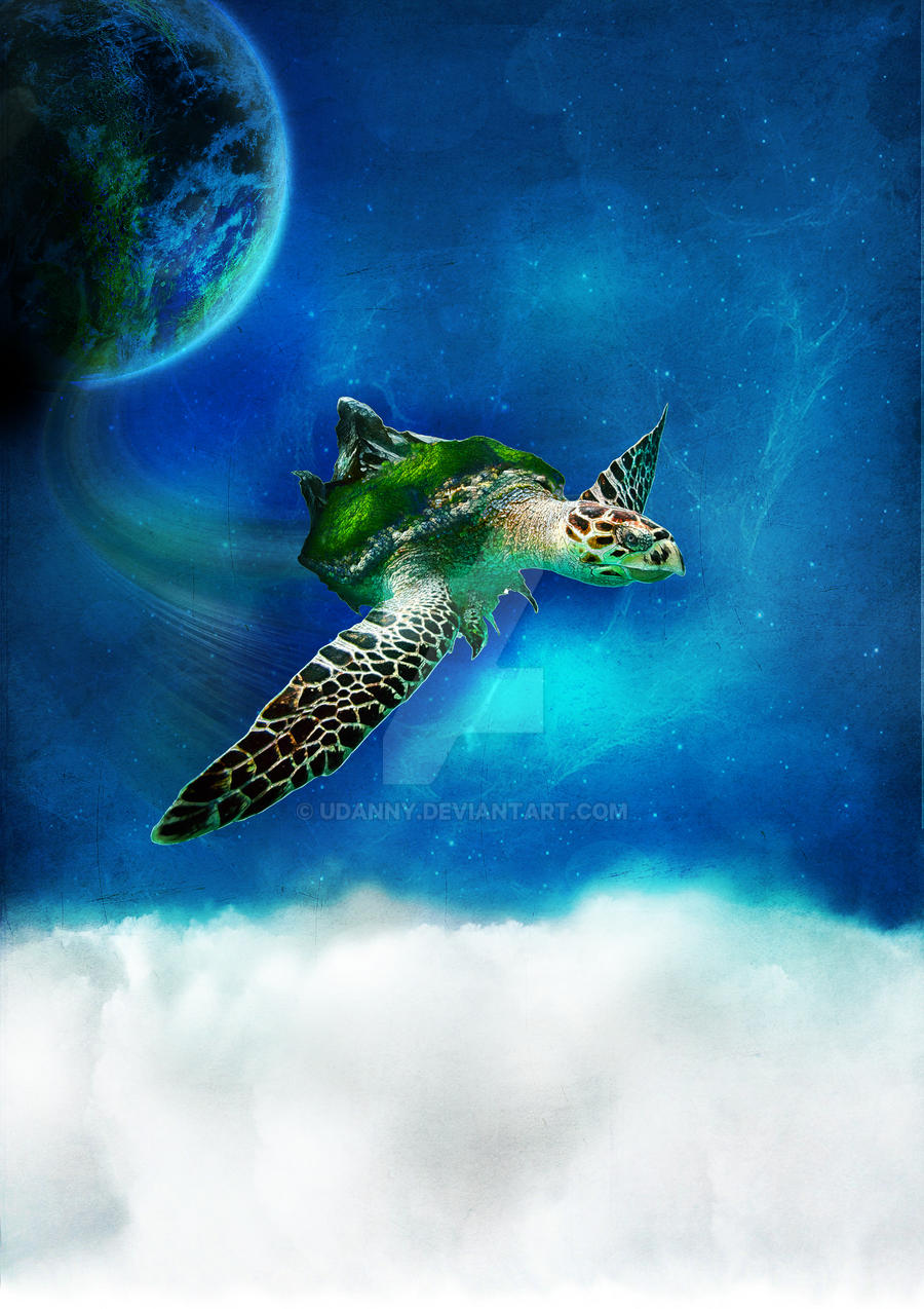 flying turtle by Udanny on DeviantArt