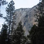 Yosemite 20