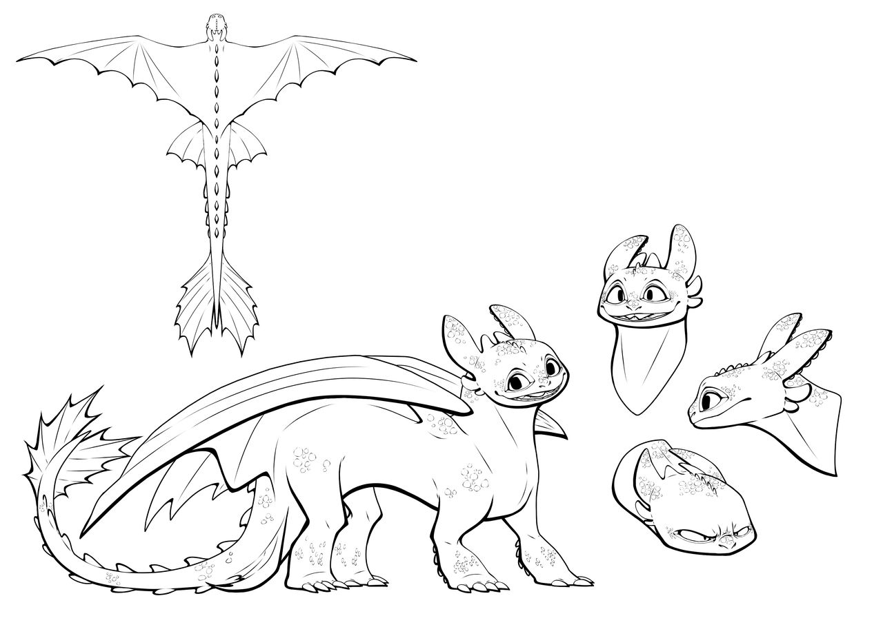 HTTYD Night Fury Reference Base F2U By LumiiDragon On DeviantArt httyd-night-fury-reference-base-f2u-by-lumiidragon-on-deviantart
