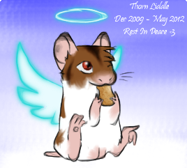 Hamster heaven online