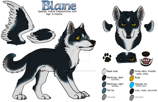 [Reference Sheet] Blaine 2018