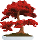 Bonsai tree