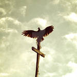 Perched On The Cross by SimplyLoveless