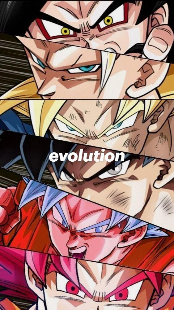 Evolution by monkeydluffy9693 on DeviantArt