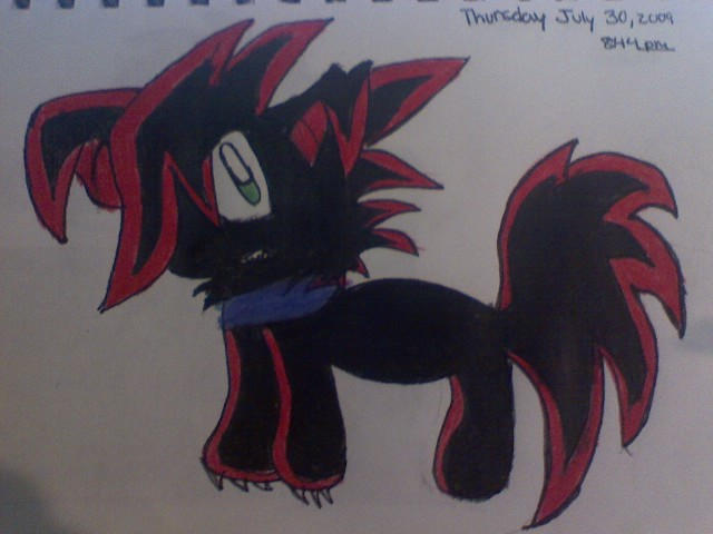 Shadow the Dog by dmorales57 on DeviantArt