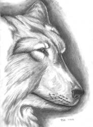 Wolf Sketch