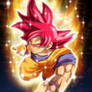 Super Saiyan God Goku