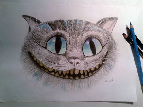 Cat from Cheshire