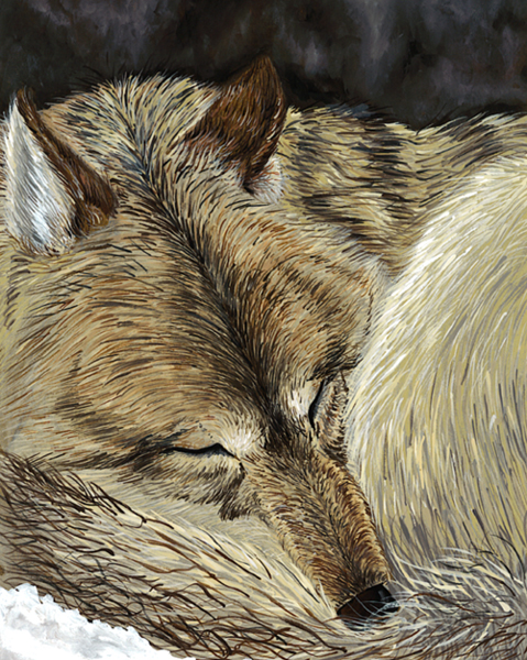 Sleeping Wolf