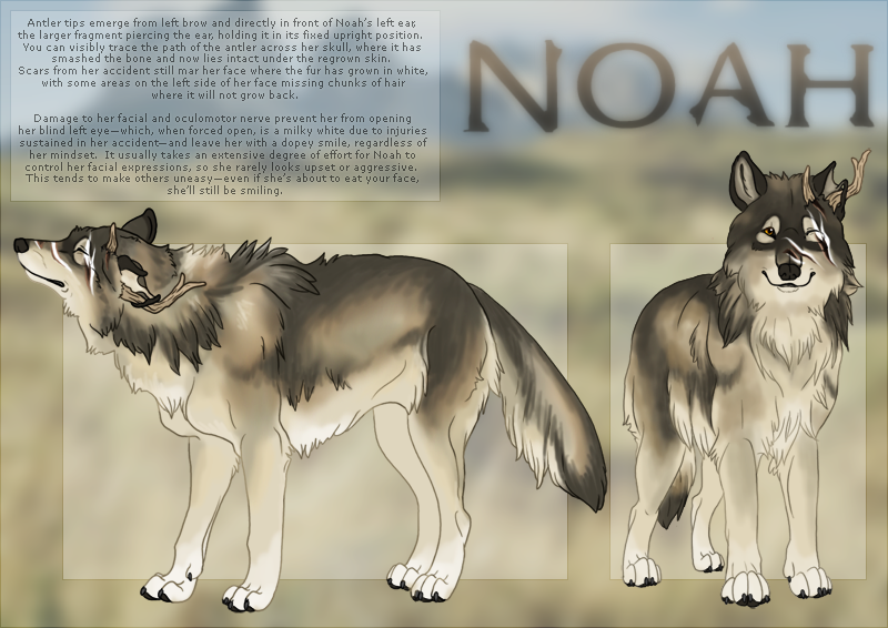 Noah : Ref Sheet