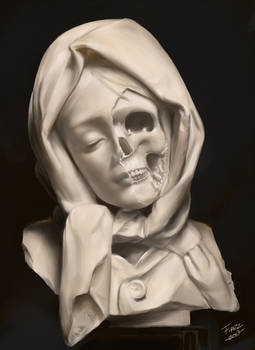 SAI Sculpture Study