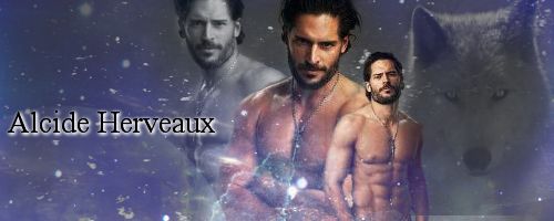 Alcide2