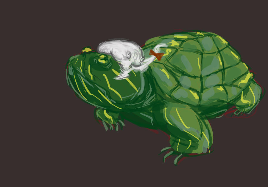 Turtle Frog Deviantart Turtle by Huggbees on DeviantArt